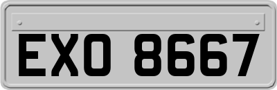 EXO8667
