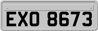 EXO8673