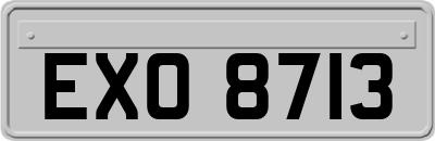 EXO8713
