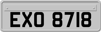 EXO8718