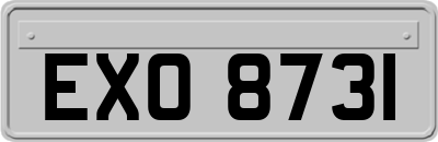 EXO8731
