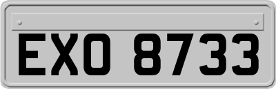 EXO8733