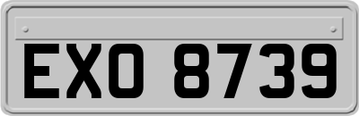 EXO8739