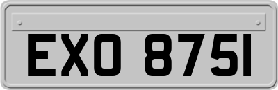 EXO8751