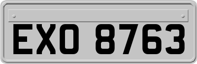 EXO8763
