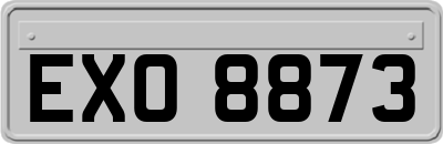 EXO8873