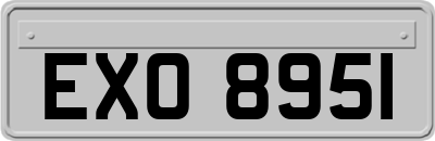 EXO8951