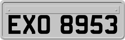 EXO8953