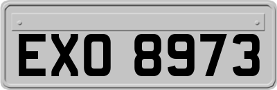 EXO8973