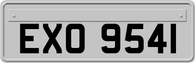 EXO9541