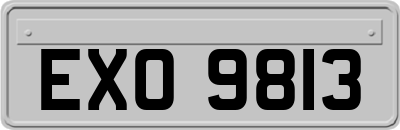 EXO9813