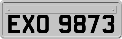 EXO9873