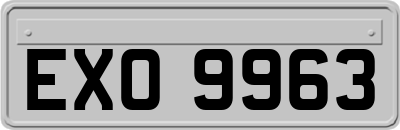 EXO9963