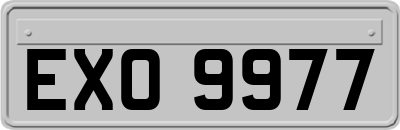 EXO9977