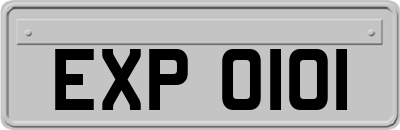 EXP0101