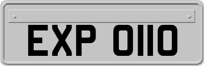 EXP0110
