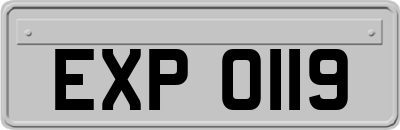 EXP0119