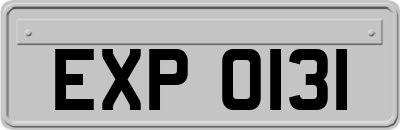 EXP0131