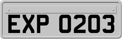 EXP0203