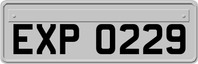 EXP0229