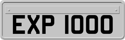EXP1000
