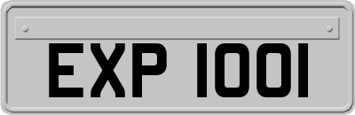 EXP1001