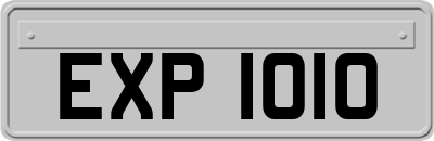 EXP1010