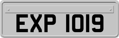 EXP1019