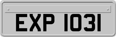 EXP1031