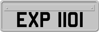 EXP1101