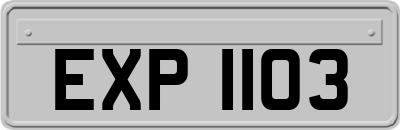 EXP1103