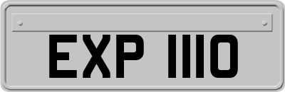 EXP1110