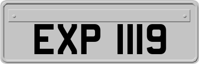 EXP1119