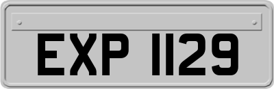 EXP1129