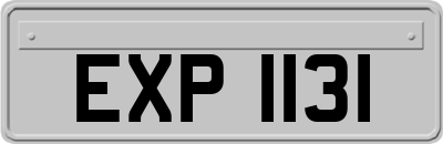 EXP1131