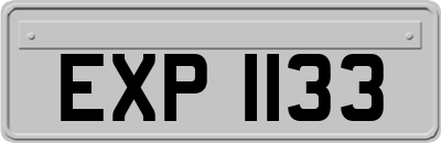 EXP1133