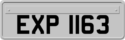EXP1163