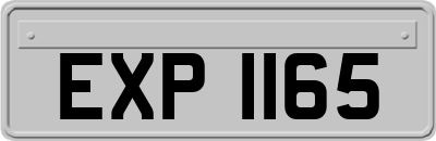 EXP1165