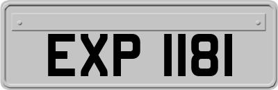 EXP1181