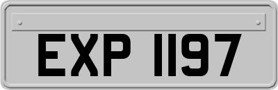 EXP1197