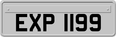 EXP1199
