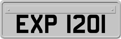 EXP1201