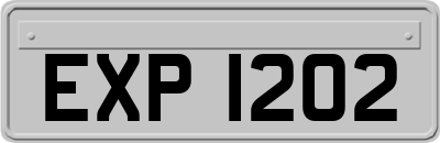 EXP1202