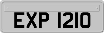 EXP1210