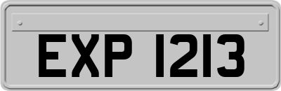 EXP1213
