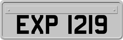 EXP1219