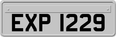 EXP1229