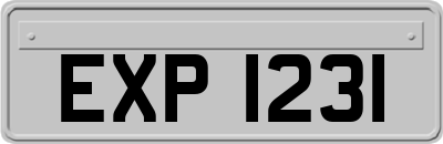 EXP1231