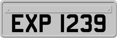 EXP1239