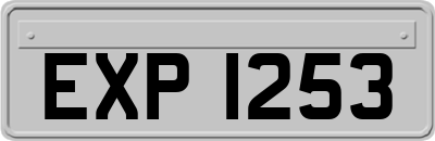 EXP1253